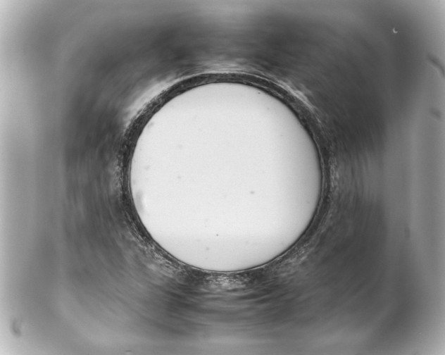 X0000102261311200808151831