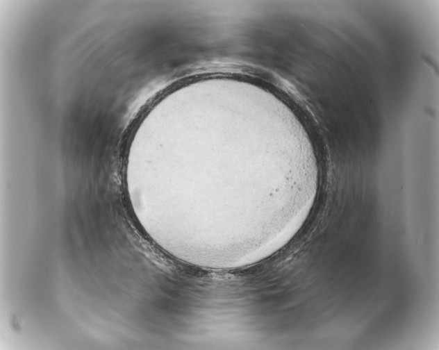 X0000102261312200808151831