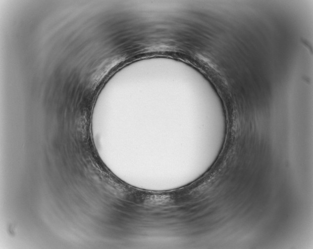 X0000102261313200808151831