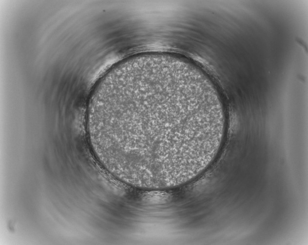 X0000102261314200808151831