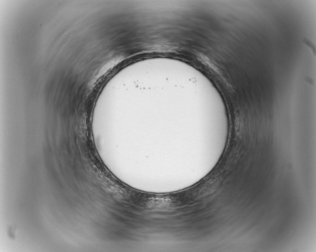 X0000102261315200808151831