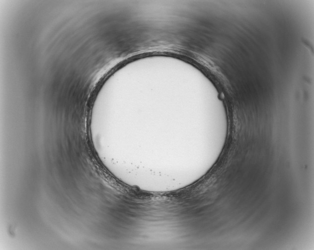 X0000102261316200808151831