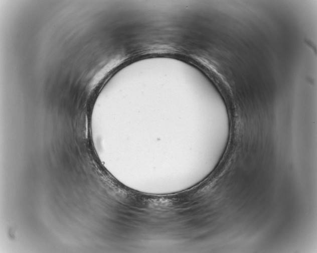 X0000102261317200808151831