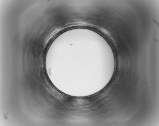 X0000102261318200808151831