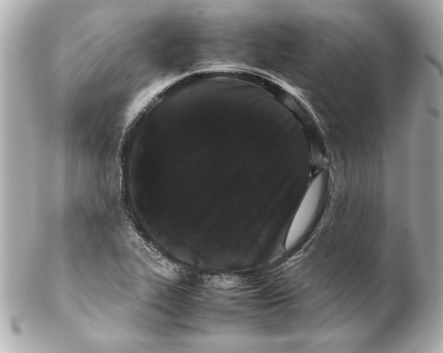 X0000102261319200808151831