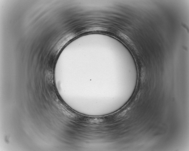 X0000102261321200808151831