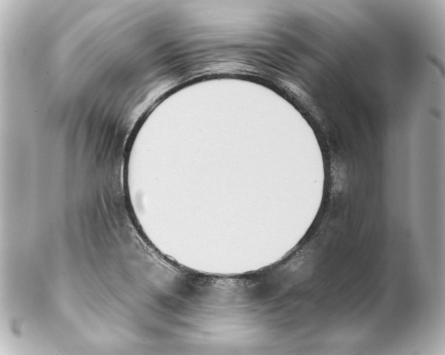 X0000102261322200808151831