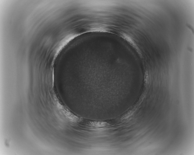 X0000102261323200808151831