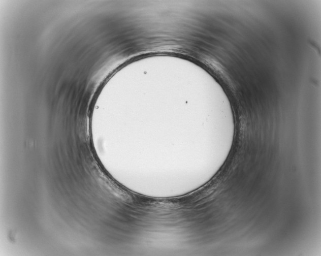 X0000102261324200808151831