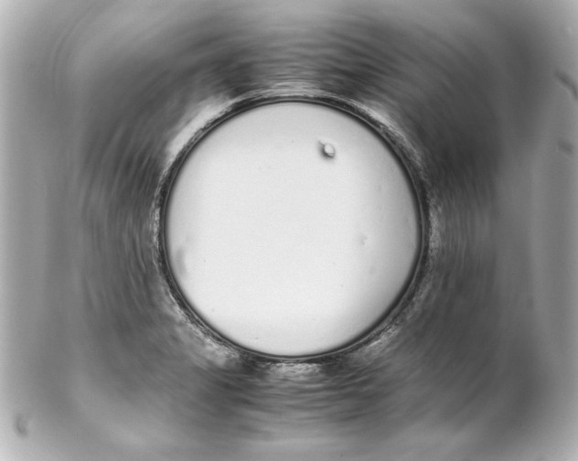 X0000102261325200808151831