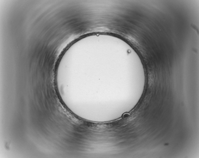 X0000102261326200808151831