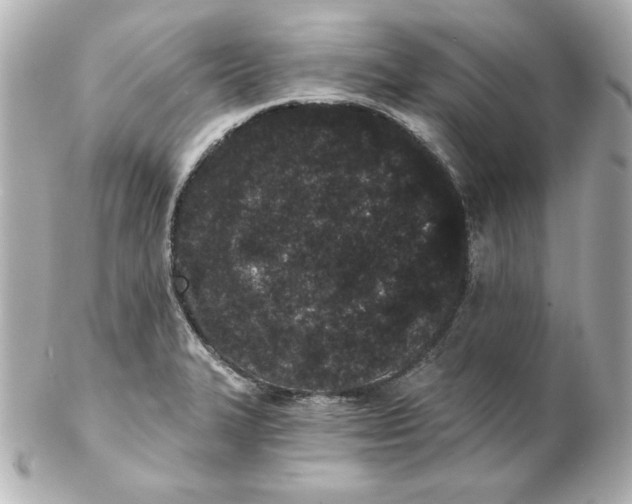 X0000102261327200808151831