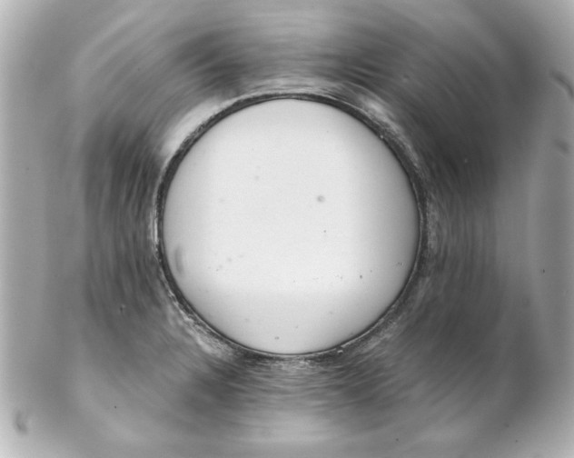 X0000102261328200808151831