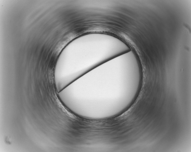 X0000102261329200808151831