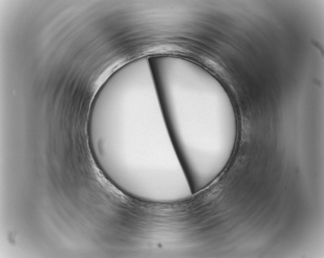 X0000102261330200808151831