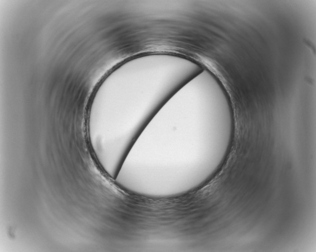 X0000102261331200808151831