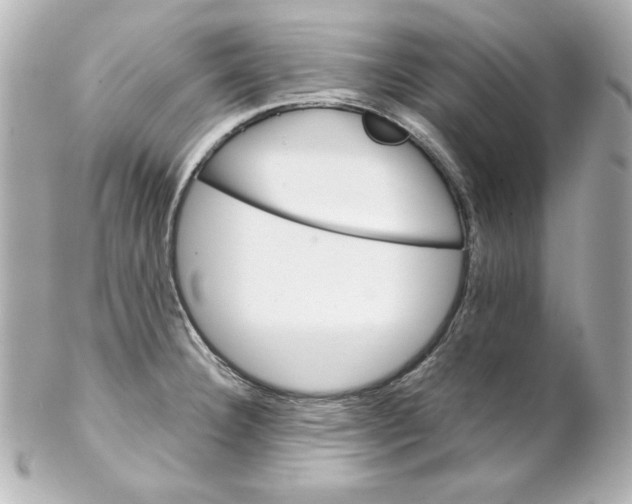 X0000102261332200808151831