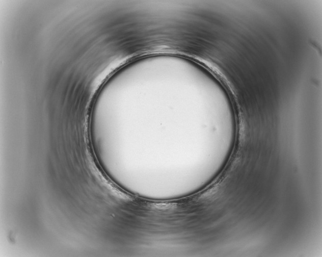 X0000102261333200808151831