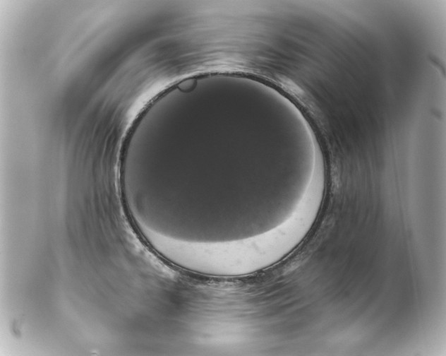 X0000102261334200808151831