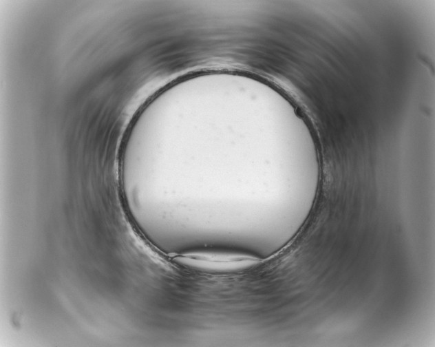 X0000102261335200808151831