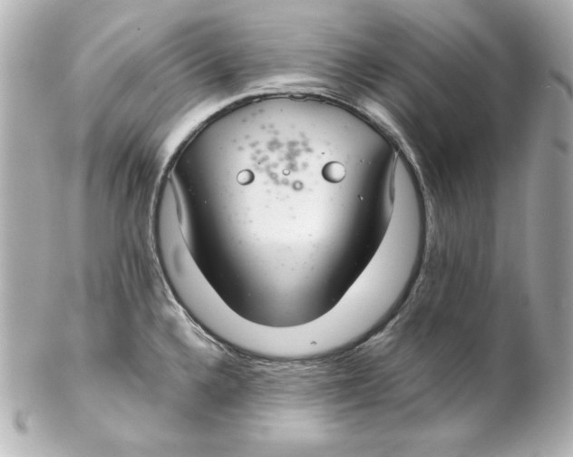 X0000102261336200808151831