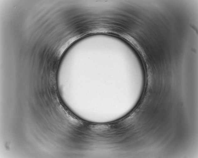 X0000102261337200808151831