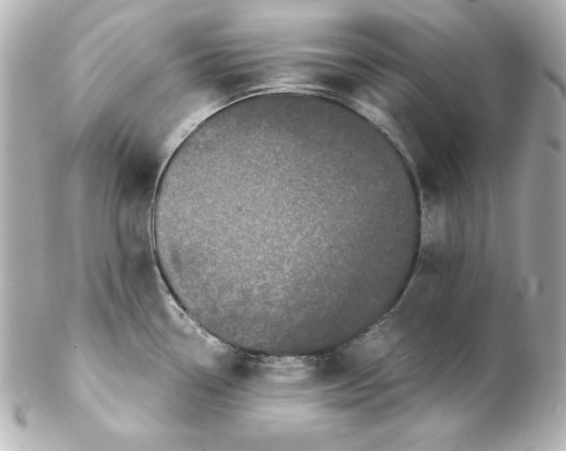 X0000102261338200808151831