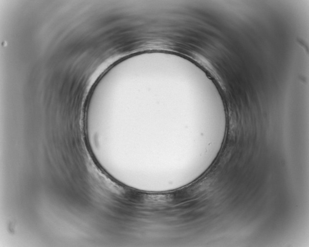 X0000102261339200808151831