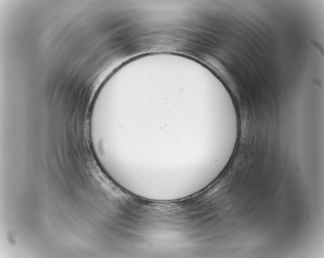 X0000102261340200808151831