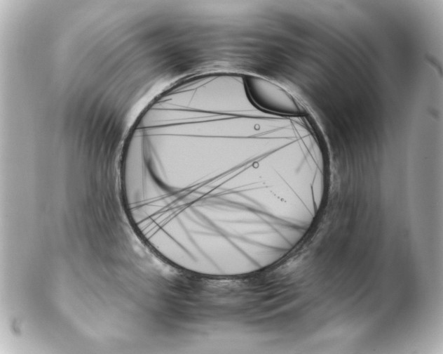 X0000102261341200808151831