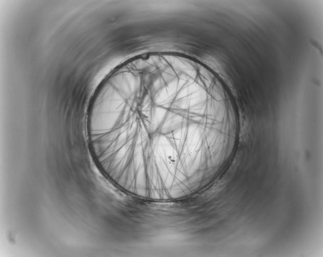 X0000102261342200808151831