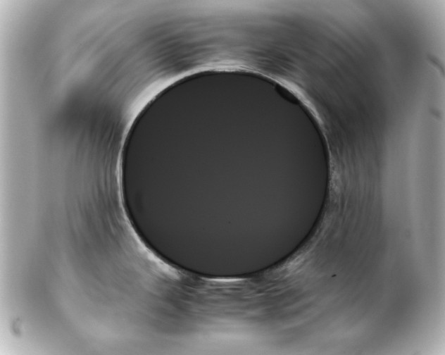 X0000102261343200808151832