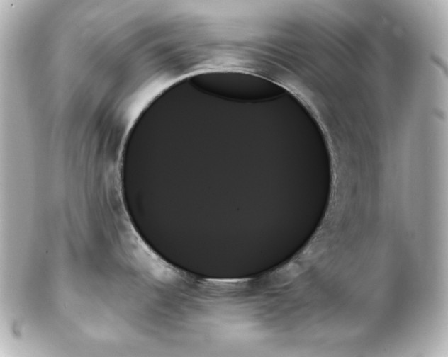 X0000102261344200808151832