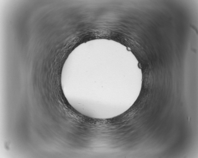 X0000102261345200808151831