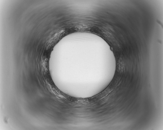 X0000102261346200808151831