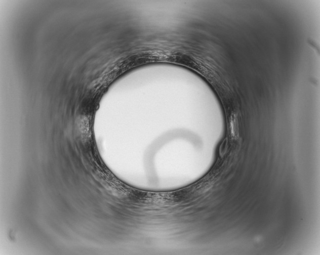 X0000102261347200808151831