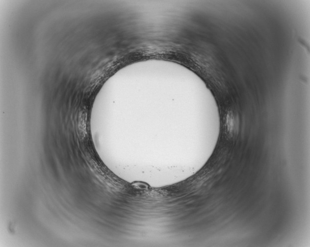 X0000102261348200808151831