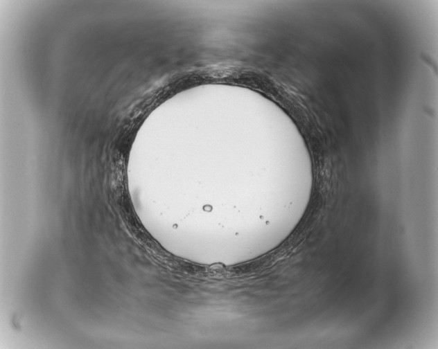 X0000102261349200808151831