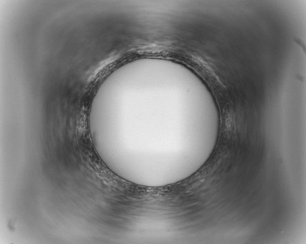 X0000102261350200808151831