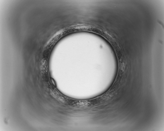 X0000102261351200808151831