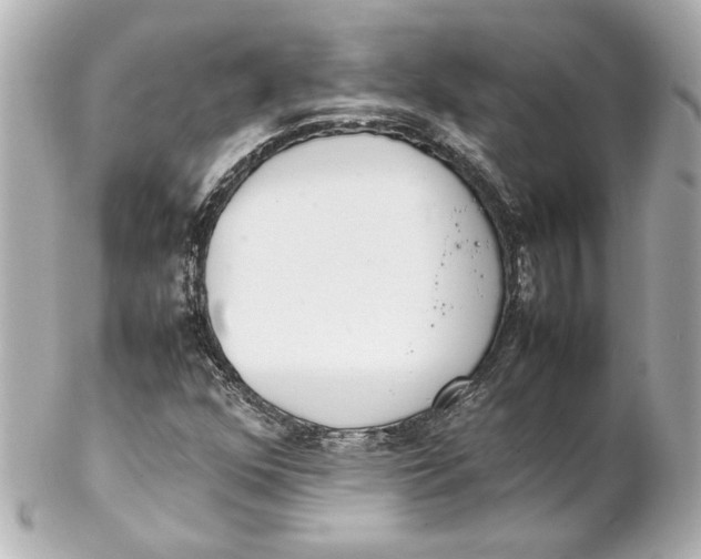 X0000102261352200808151831