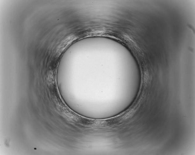 X0000102261353200808151831