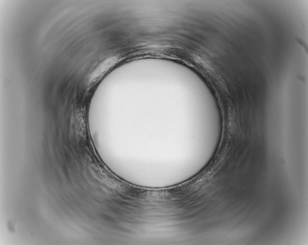 X0000102261354200808151831