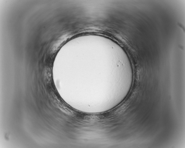 X0000102261355200808151831