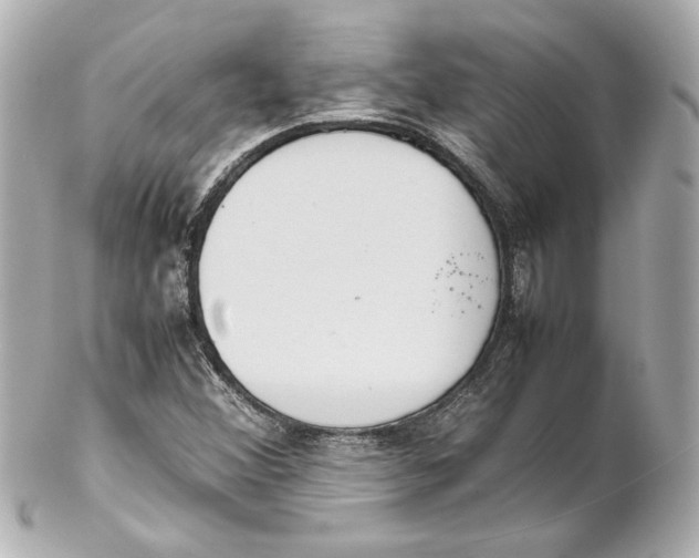 X0000102261356200808151831