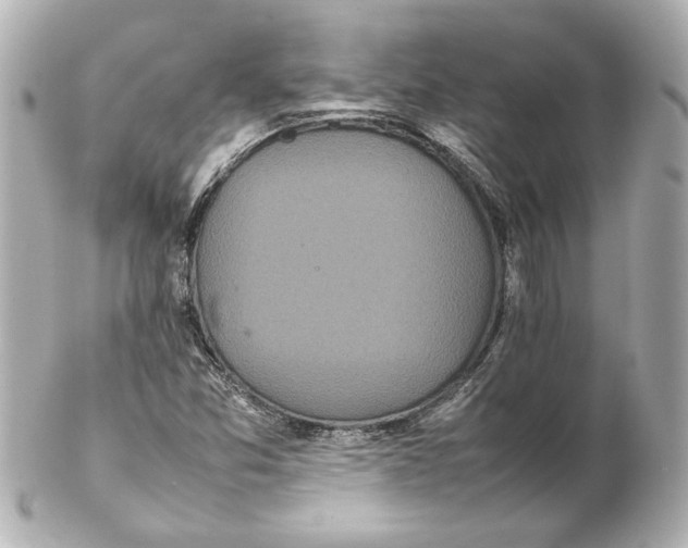 X0000102261357200808151831