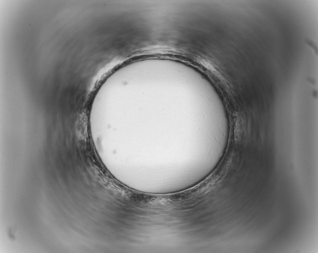 X0000102261358200808151831