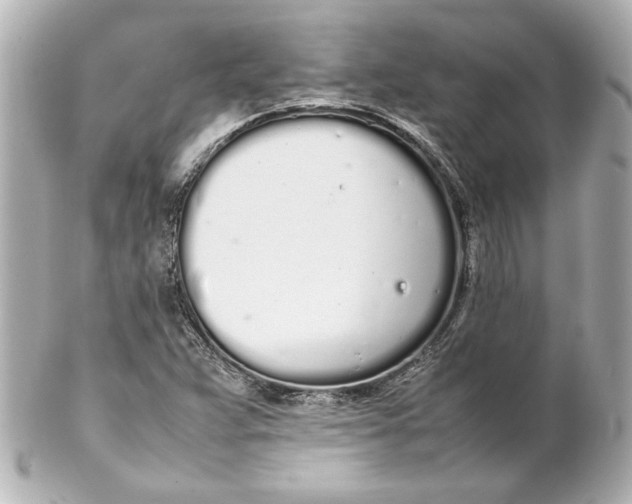 X0000102261359200808151831