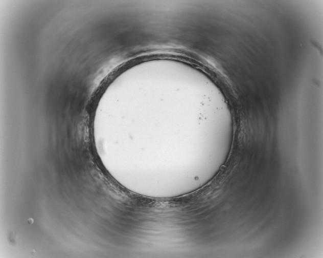 X0000102261360200808151831