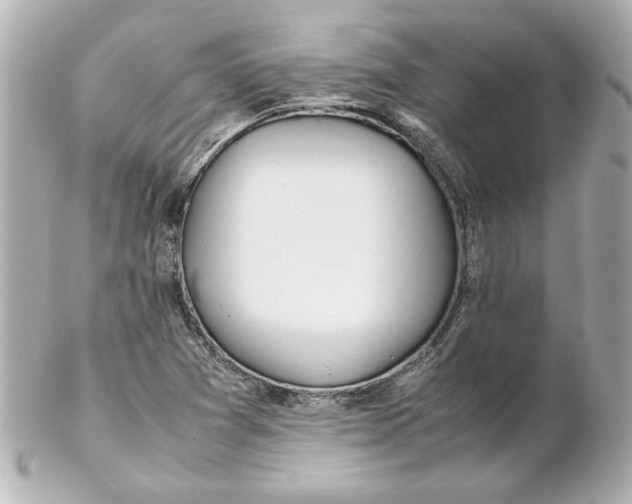 X0000102261361200808151831